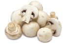 White Mushrooms